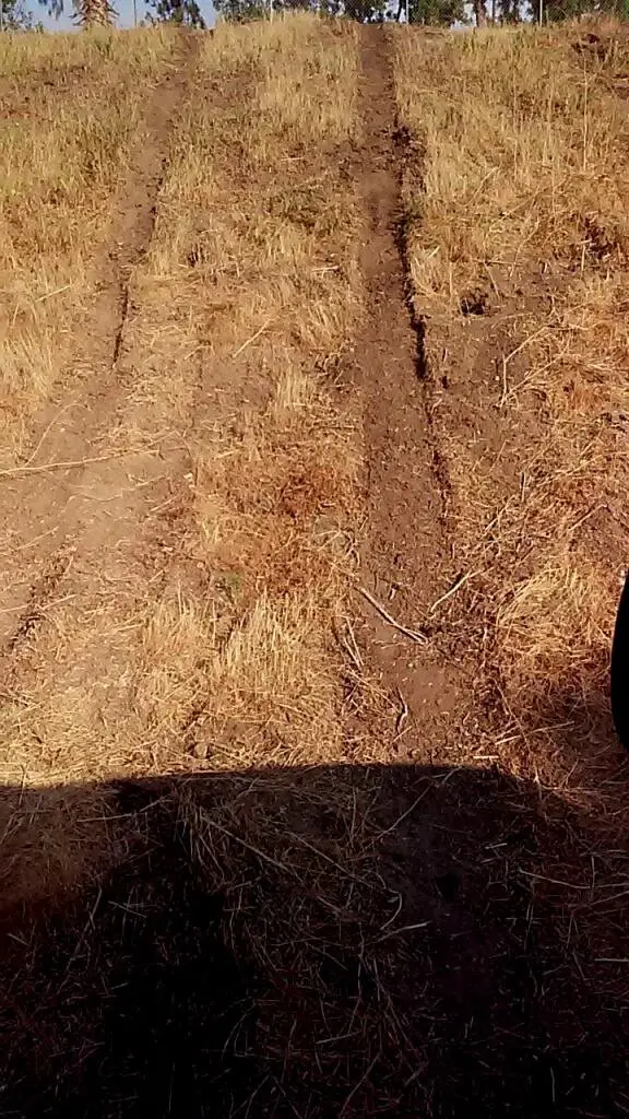 HILL.jpg