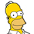 HomerHead-vi.jpg