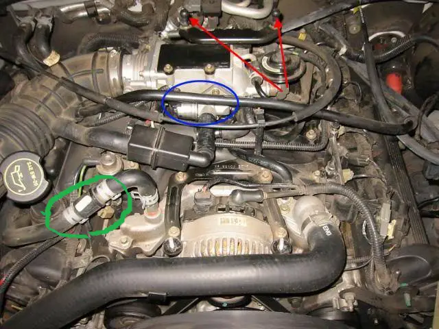 hose.jpg