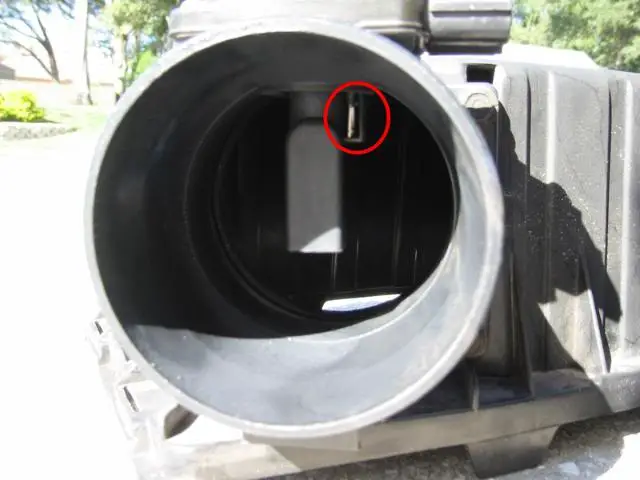 IAC005.jpg