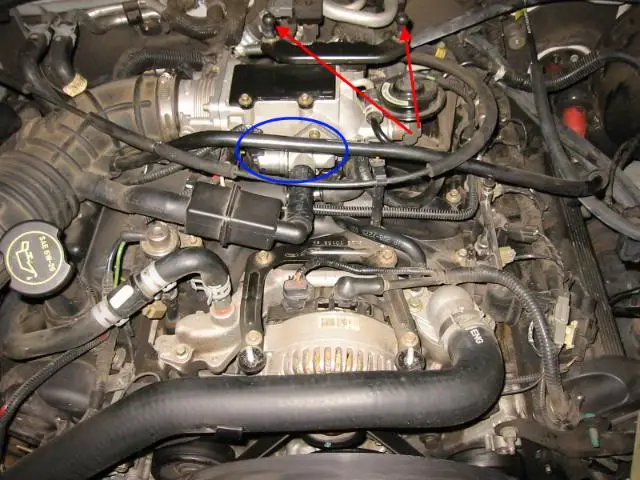 IAC012.jpg