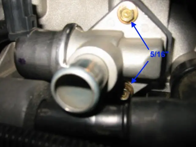 IAC014.jpg