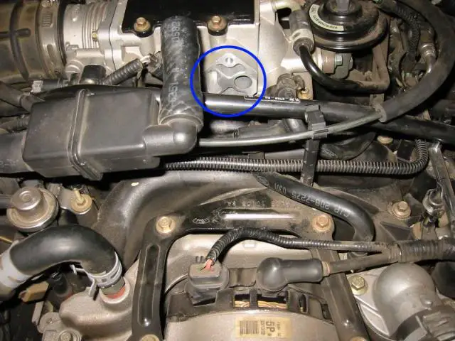 IAC015.jpg
