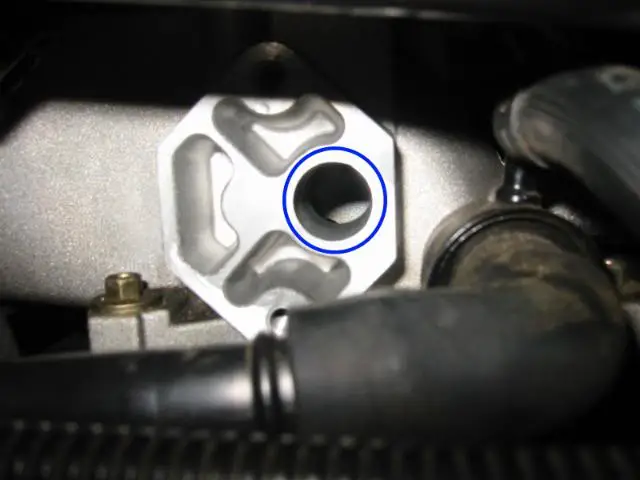 IAC016.jpg