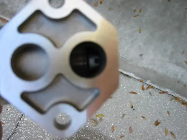 IAC018.jpg