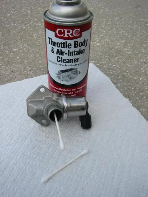 IAC019.jpg