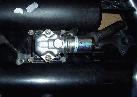 IACV.JPG
