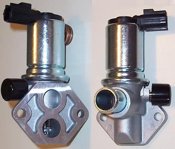 IACVB&T.jpg