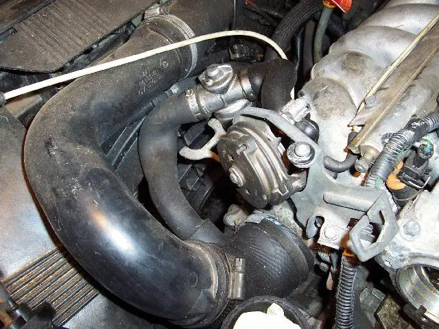 IACVHose.jpg