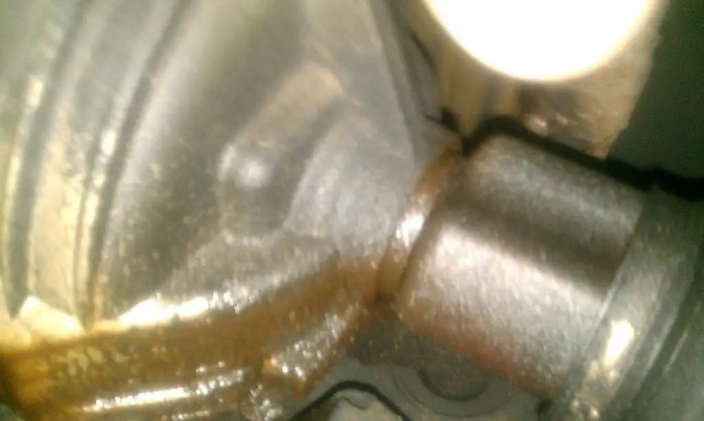 IMAG0046.jpg