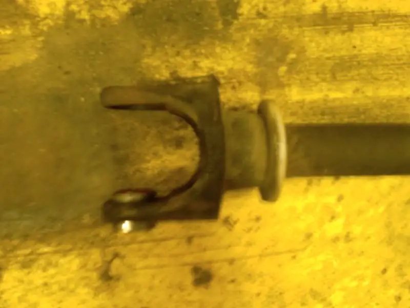 IMAG0055.jpg