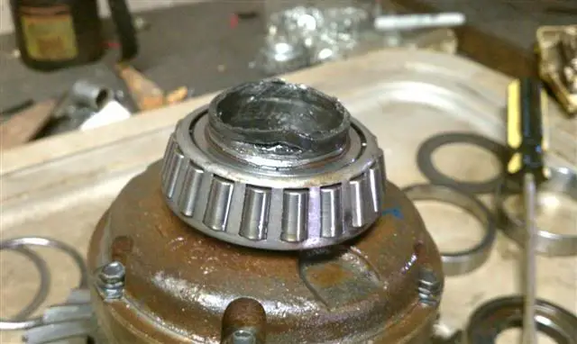 IMAG0082.jpg