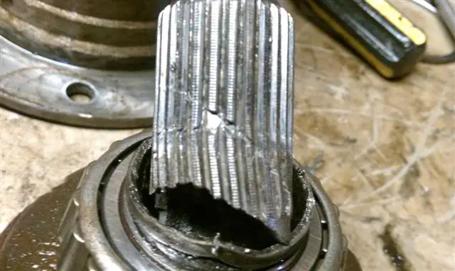 IMAG0091.jpg