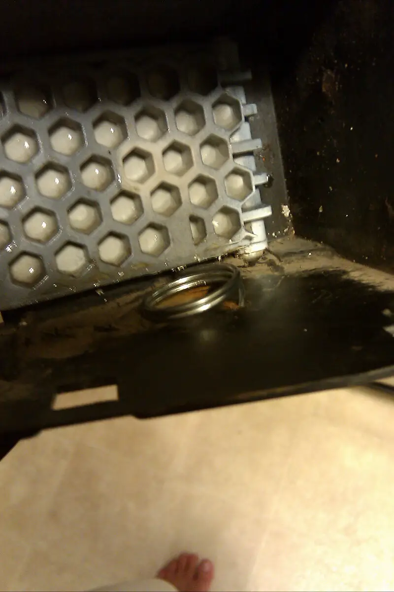 IMAG0096.jpg