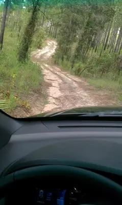 IMAG0133.jpg