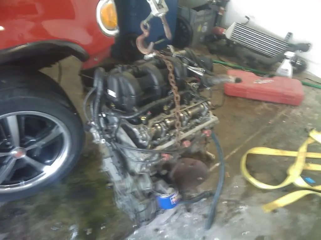 IMAG0147.jpg