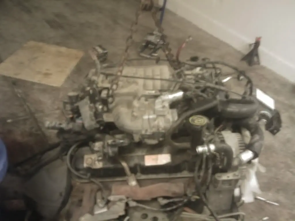 IMAG0150.jpg