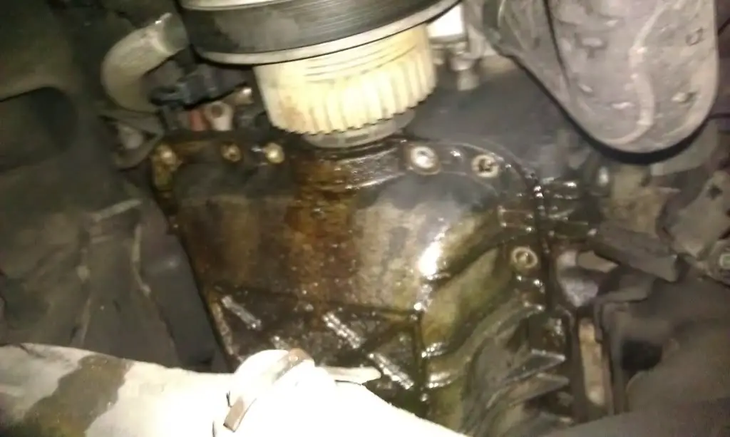 IMAG0208.jpg