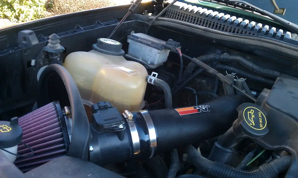 IMAG0226.jpg