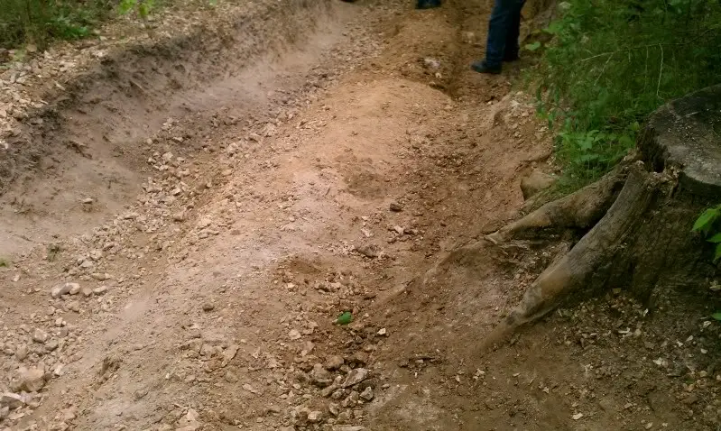 IMAG0276.jpg