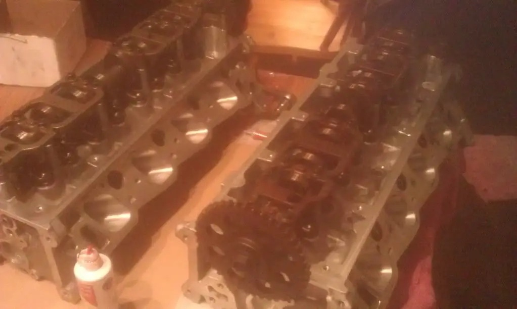 IMAG0286.jpg