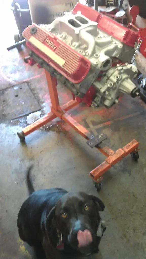 IMAG0356_zpsdb066404.jpg