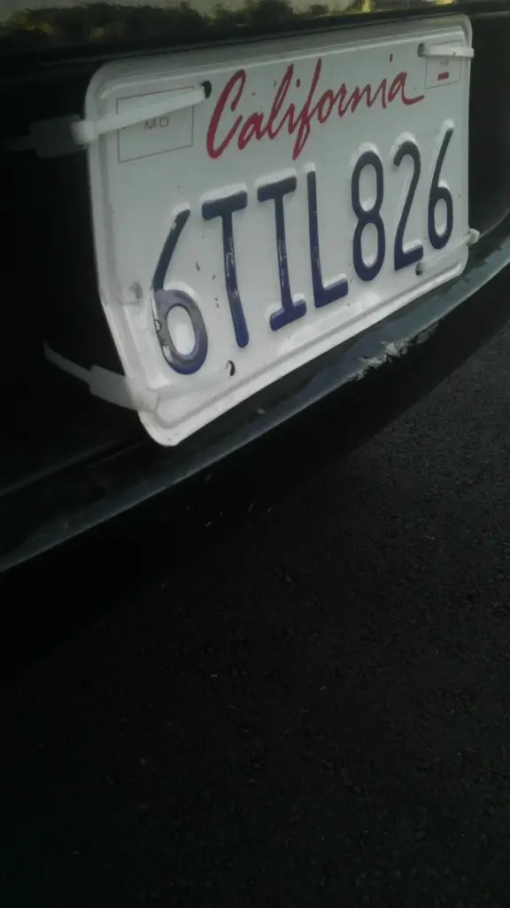 IMAG0403.jpg