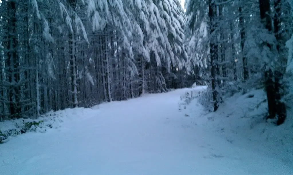 IMAG0426.jpg