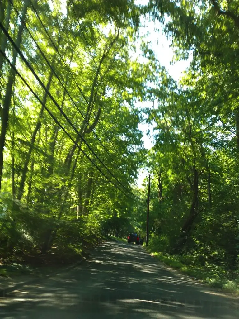 IMAG0484.jpg