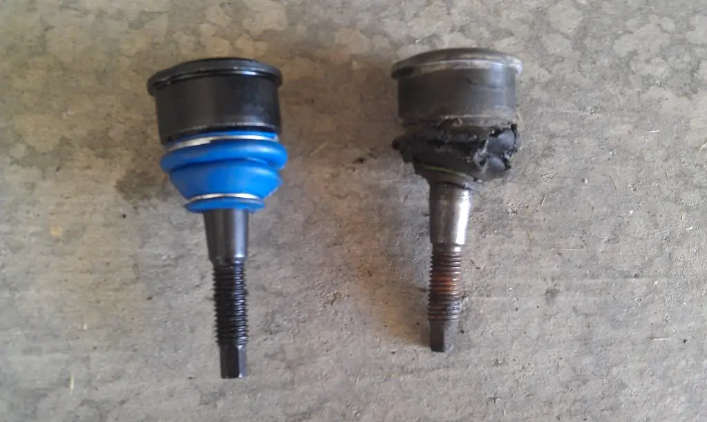 IMAG0524.jpg