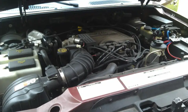 IMAG0918.jpg