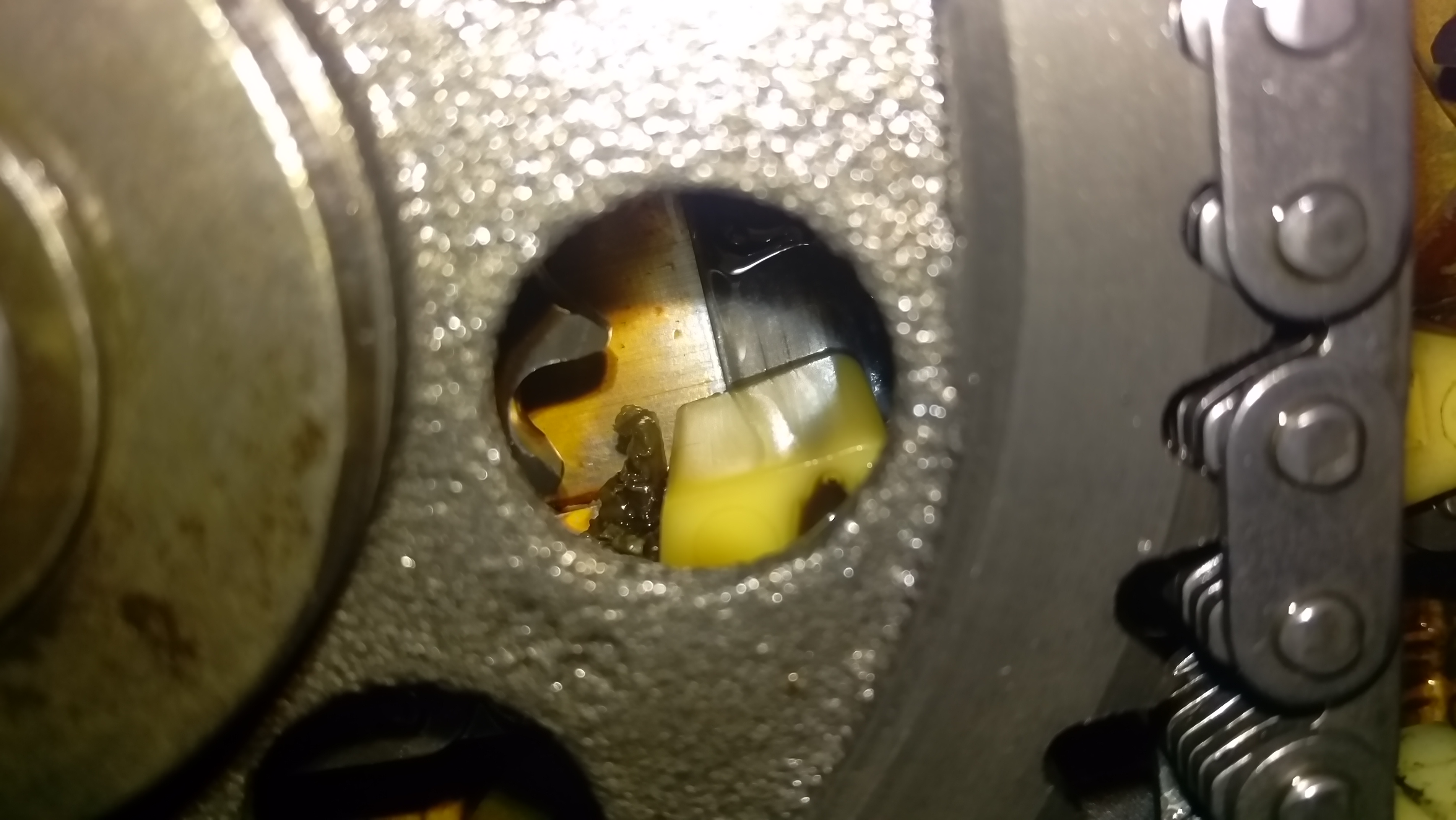 IMAG0960.jpg