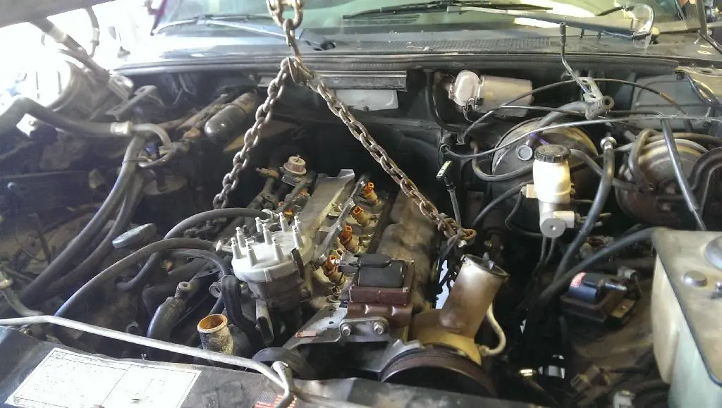 IMAG0972.jpg