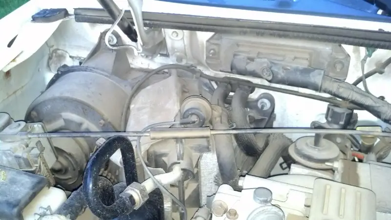 image-12.jpg