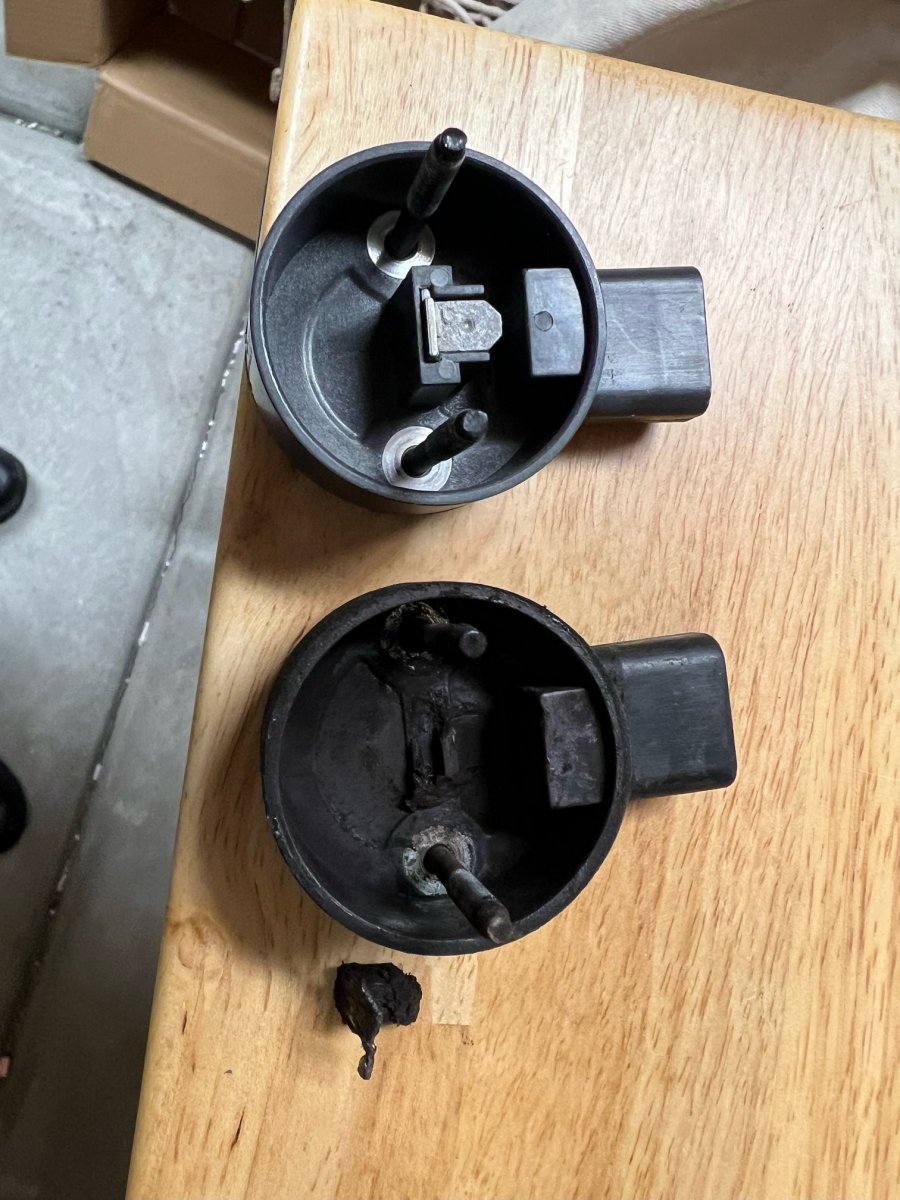 image1.jpeg