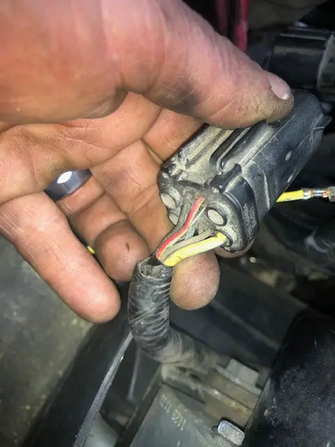 image11.jpeg