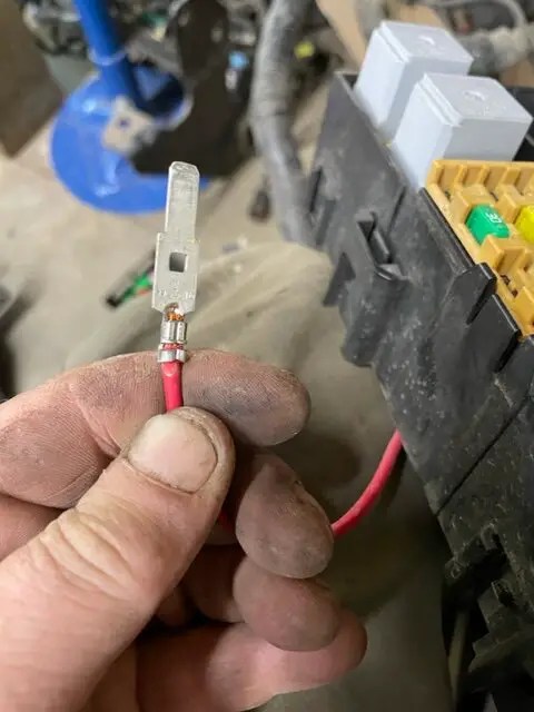 image_9ff.jpg