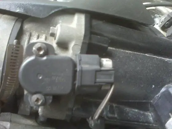 IMG01052.jpg