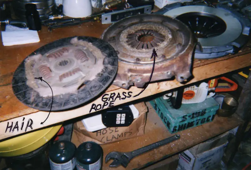 img08110.jpg