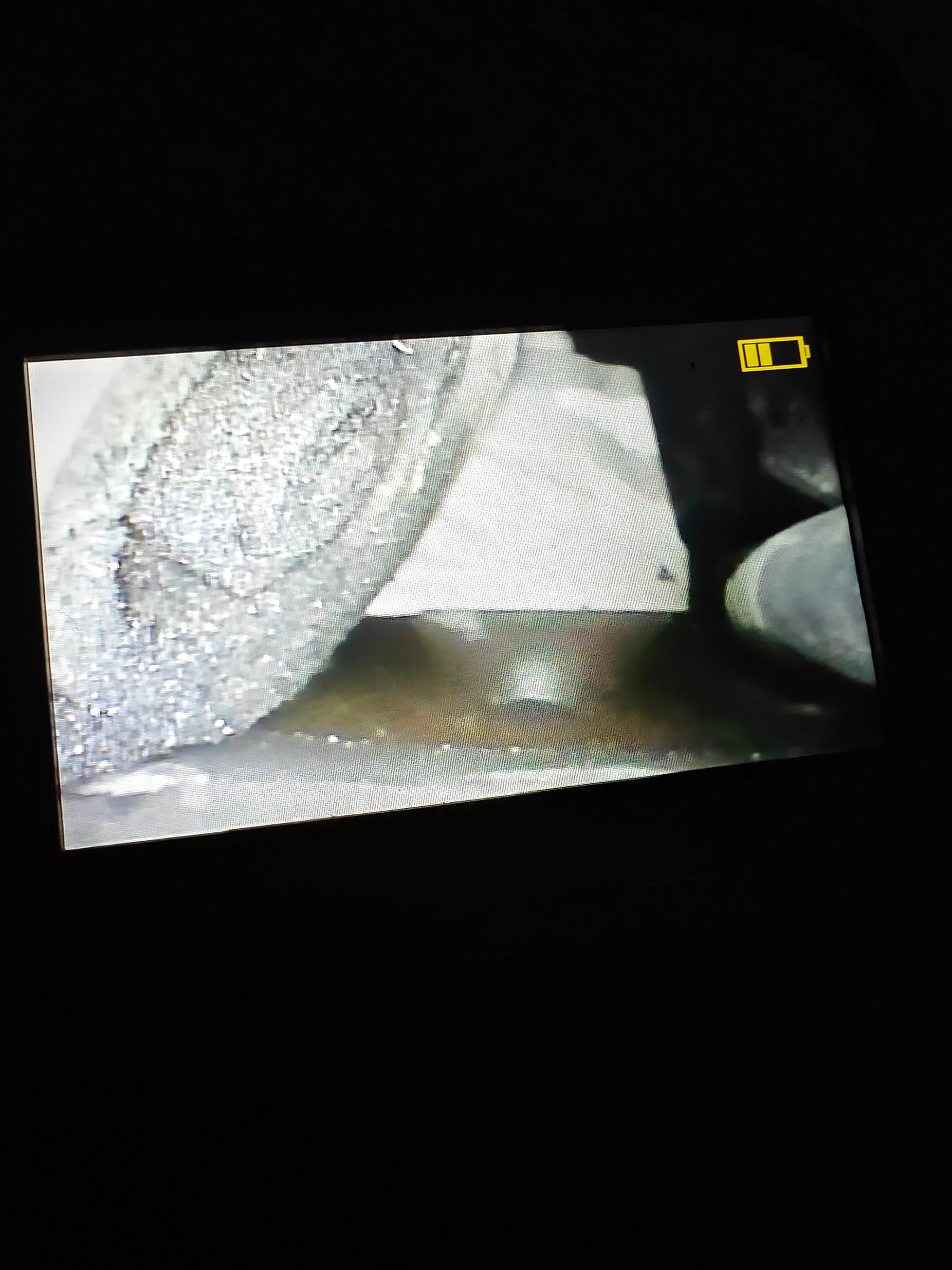 IMG20250629144202.jpg