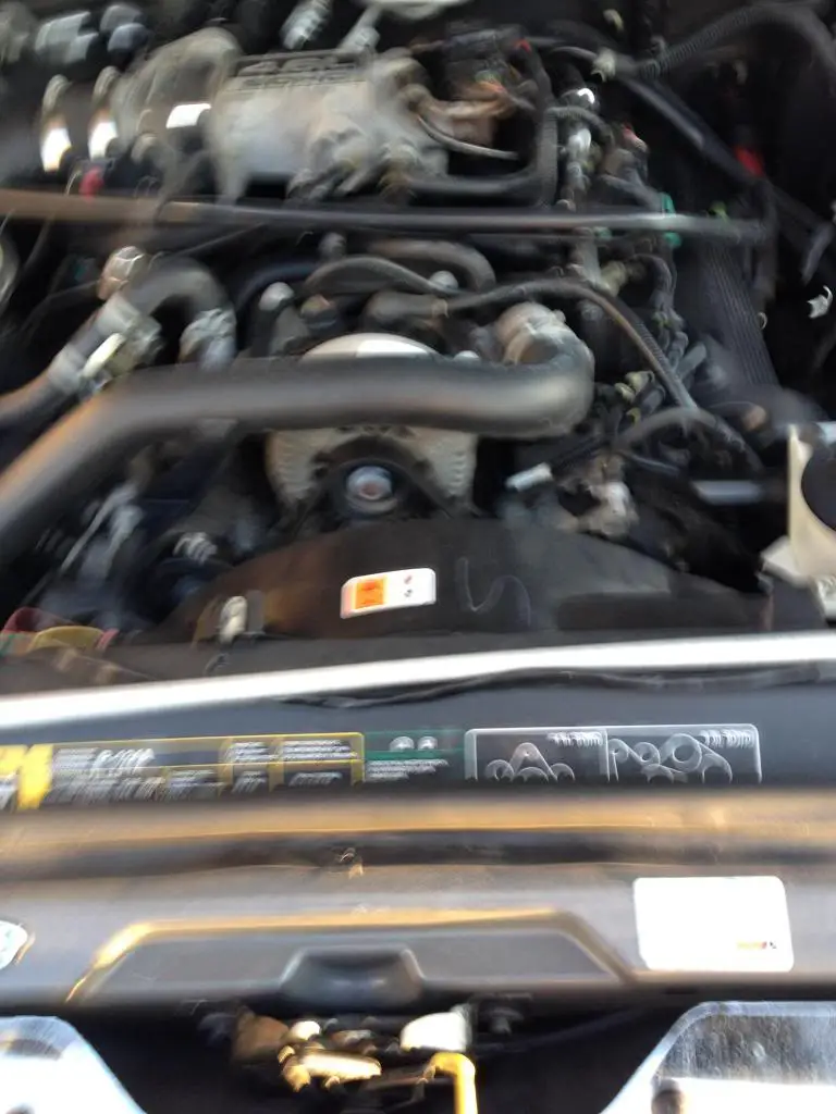 IMG_0325_zps5550353d.jpg