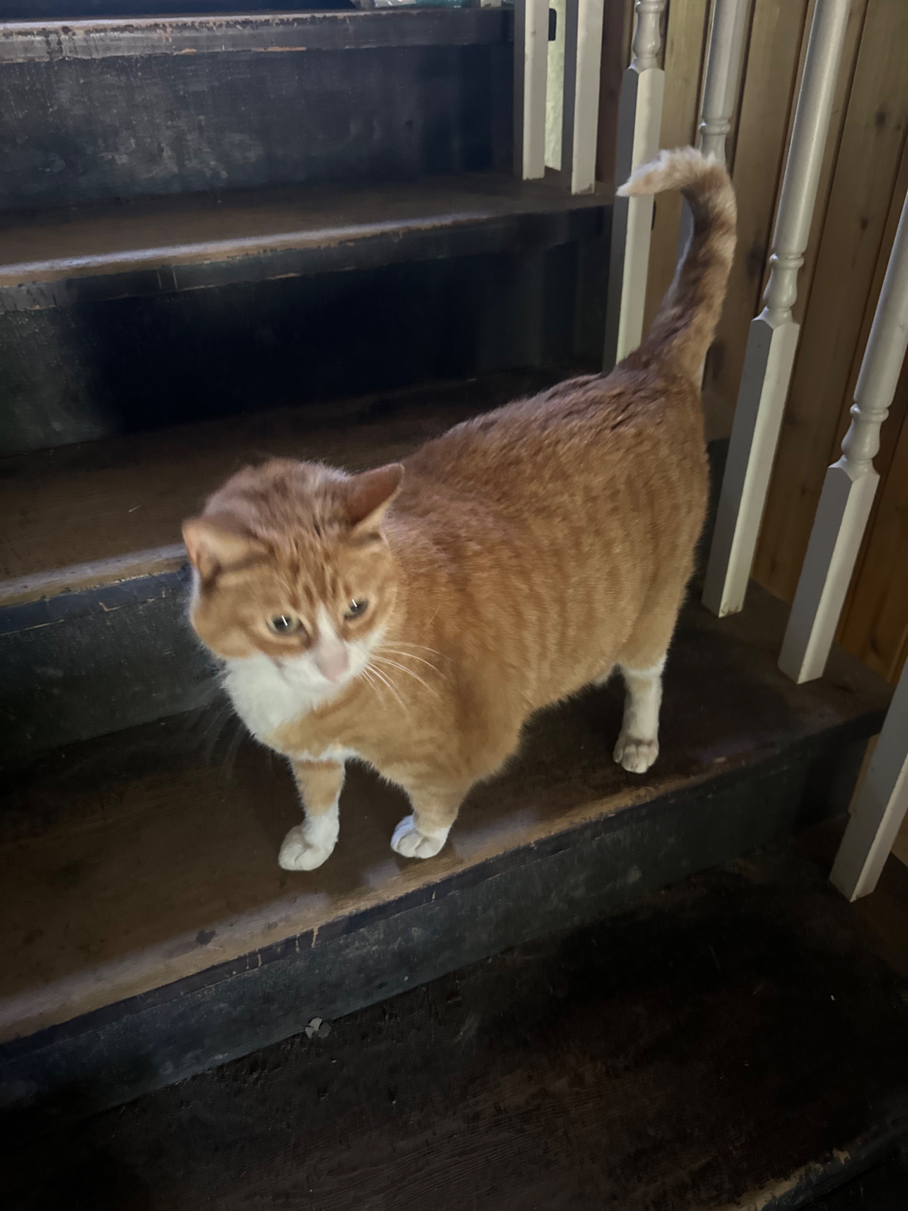 IMG_0348.jpeg