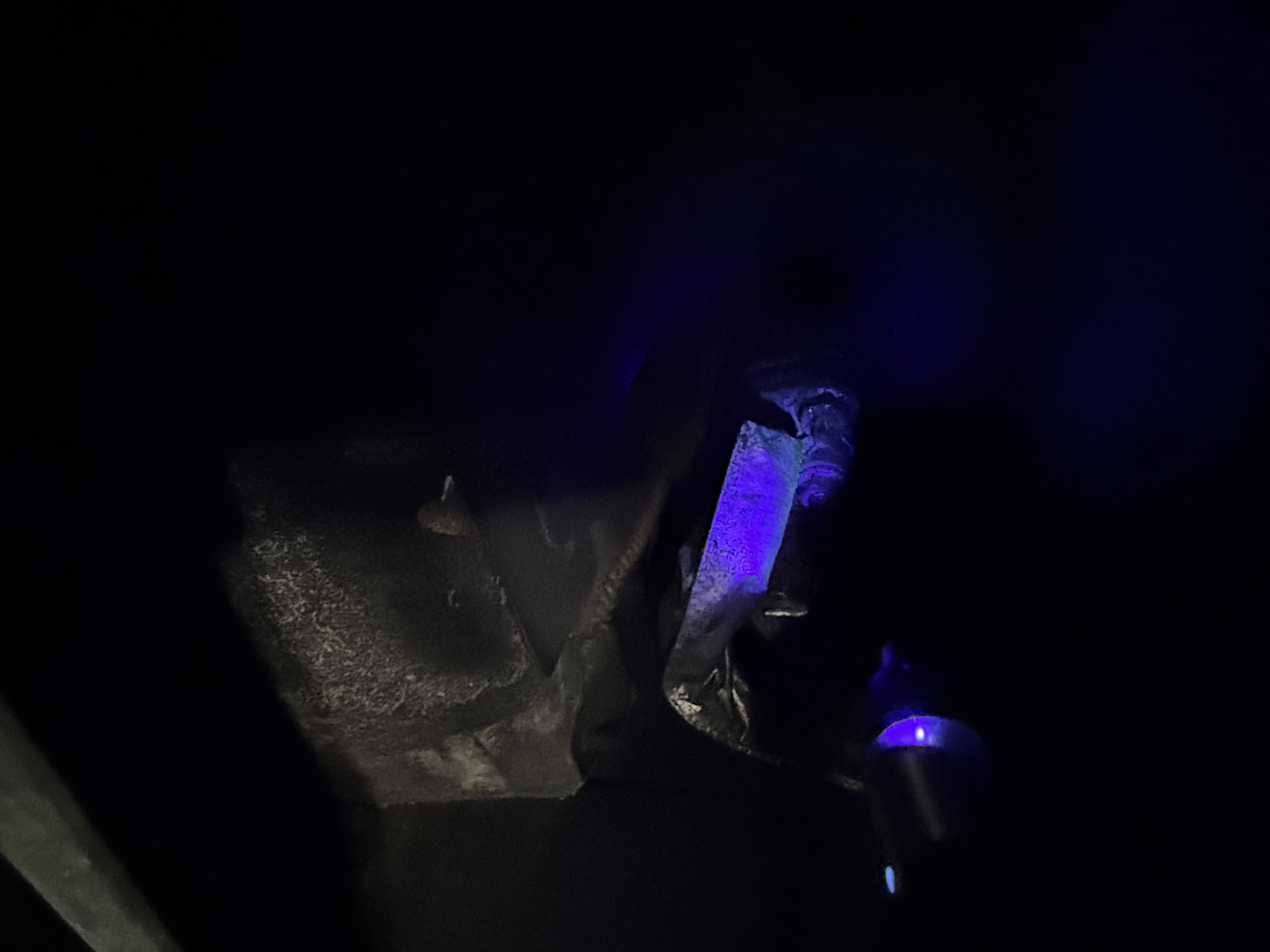 IMG_4105.jpeg