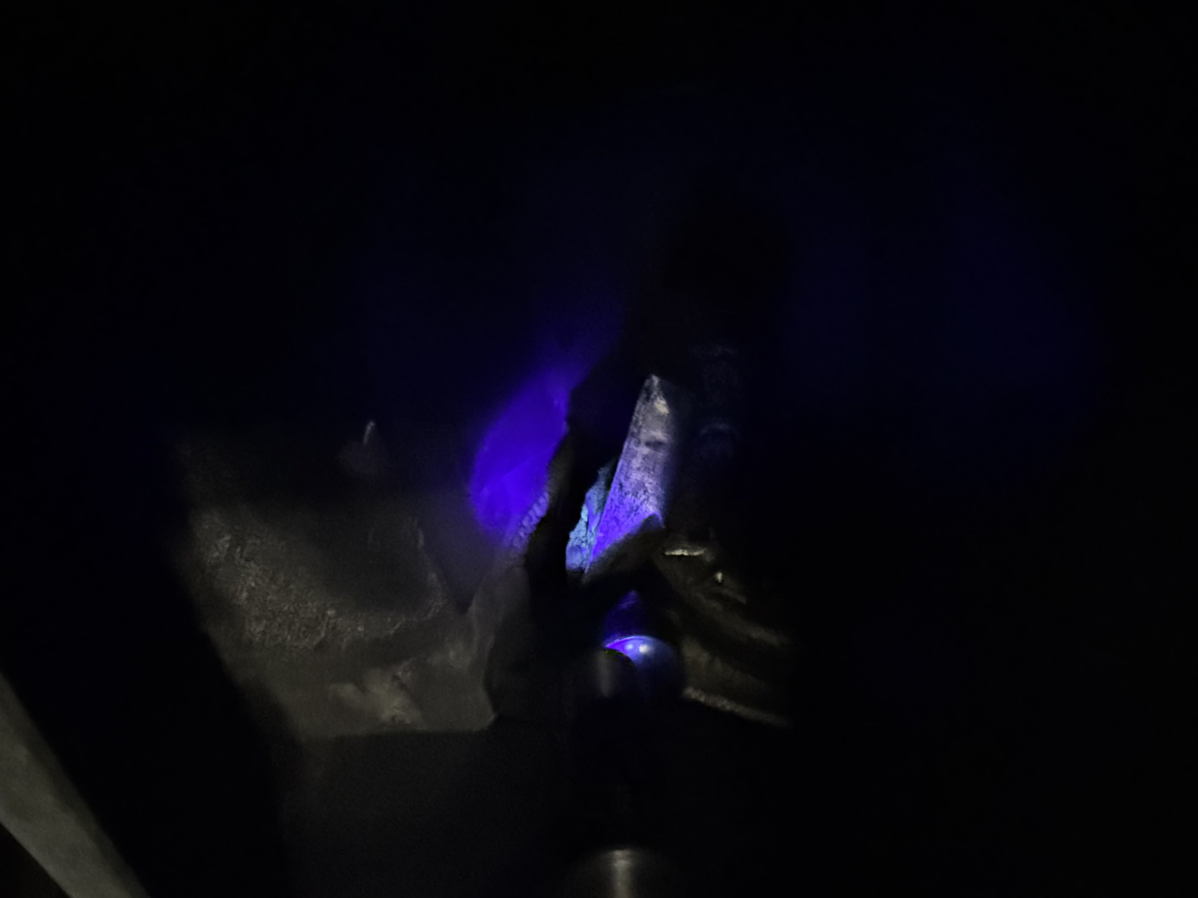 IMG_4106.jpeg