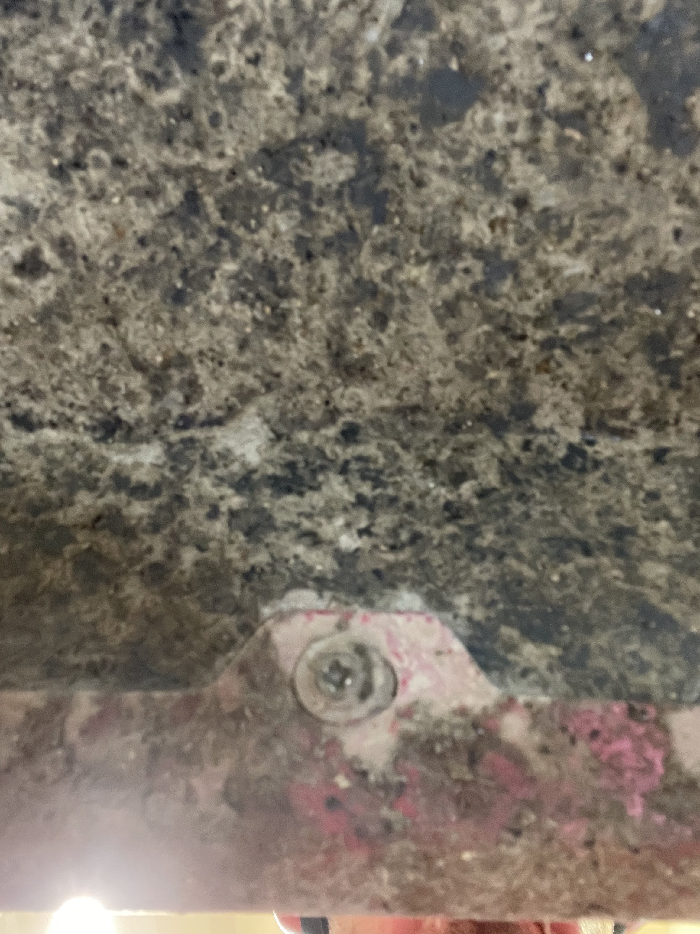 IMG_4823.jpeg