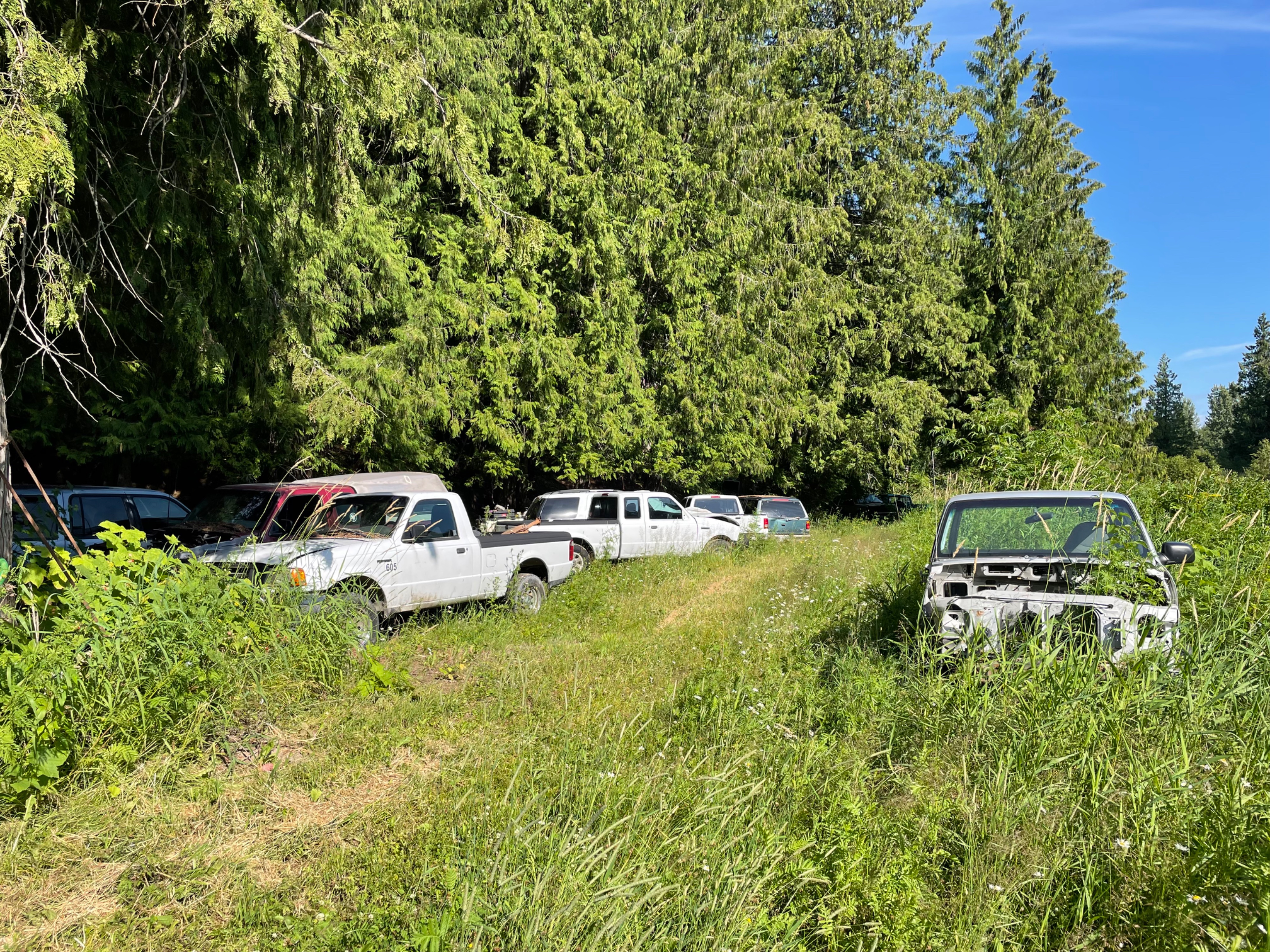 IMG_6022.jpeg