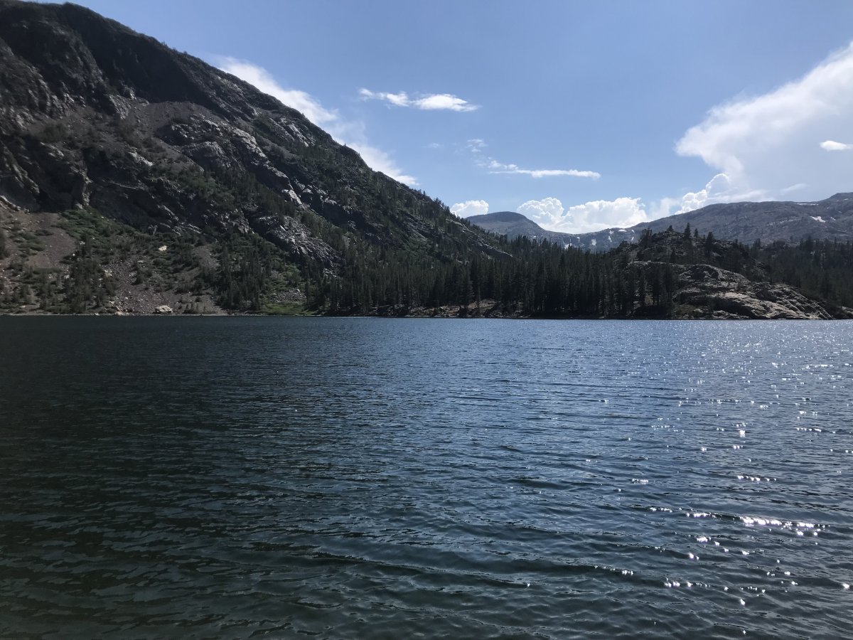 IMG_9290.jpeg