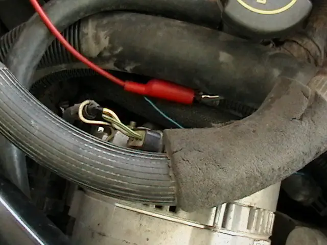 IMGA0047.jpg