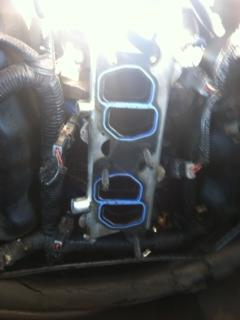 installedwithfuelrail_zps38a7add5.jpg