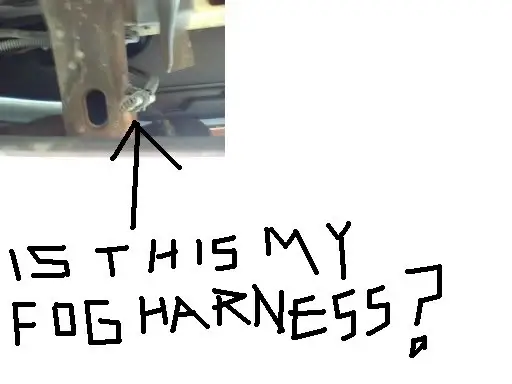 isthismyfogharness.jpg